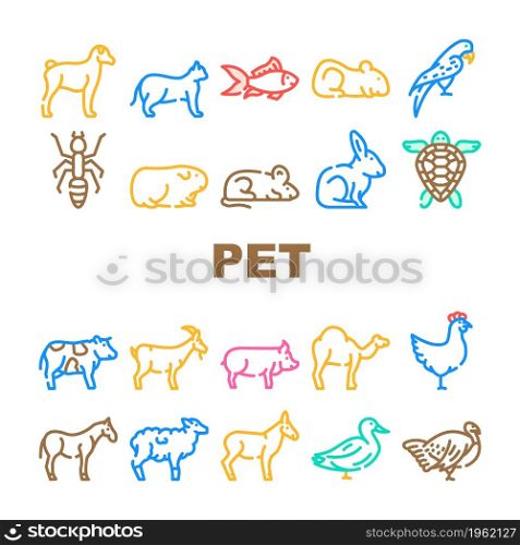 Pet Domestic, Farm And Sea Aqua Icons Set Vector. Mice And Hamster, Dog Puppy And Cat Kitty Pet, Horse And Camel, Parrot And Chicken Bird, Turtle And Aquarium Fish Line. Color Illustrations. Pet Domestic, Farm And Sea Aqua Icons Set Vector