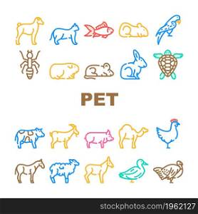 Pet Domestic, Farm And Sea Aqua Icons Set Vector. Mice And Hamster, Dog Puppy And Cat Kitty Pet, Horse And Camel, Parrot And Chicken Bird, Turtle And Aquarium Fish Line. Color Illustrations. Pet Domestic, Farm And Sea Aqua Icons Set Vector