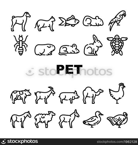 Pet Domestic, Farm And Sea Aqua Icons Set Vector. Mice And Hamster, Dog Puppy And Cat Kitty Pet, Horse And Camel, Parrot And Chicken Bird, Turtle And Aquarium Fish Contour Illustrations. Pet Domestic, Farm And Sea Aqua Icons Set Vector