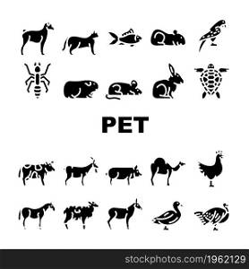 Pet Domestic, Farm And Sea Aqua Icons Set Vector. Mice And Hamster, Dog Puppy And Cat Kitty Pet, Horse And Camel, Parrot And Chicken Bird, Turtle And Aquarium Fish Glyph Pictograms Black Illustrations. Pet Domestic, Farm And Sea Aqua Icons Set Vector