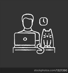 Pet friendly office chalk white icon on black background. Domestic animal permitted territory. Cat at workplace, kitten and human working on computer. Isolated vector chalkboard illustration