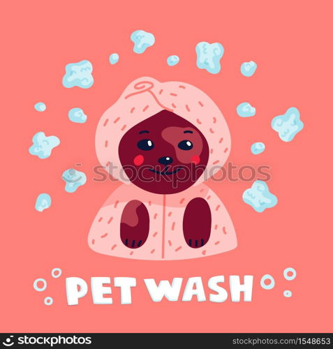 Pet grooming concept. Happy lap-dog in a towel and bathrobe in spa salon. Dog care, grooming, hygiene, health. Pet shop, accessories. Flat style vector illustration. Pet grooming concept. Happy lap-dog in a towel and bathrobe in spa salon. Dog care, grooming, hygiene, health. Pet shop, accessories. Flat style vector illustration.