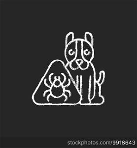 Pet hazards chalk white icon on black background. Household dangers for animals. Fleas and ticks. Animal attacks. Pet-friendly zone. Bugs on dogs. Isolated vector chalkboard illustration. Pet hazards chalk white icon on black background