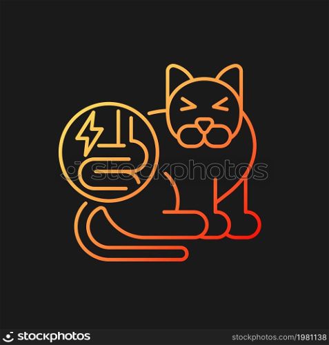 Pet IBD gradient vector icon for dark theme. Inflammatory bowel disease. Animal intestinal disorder. Stomach irritation. Thin line color symbol. Modern style pictogram. Vector isolated outline drawing. Pet IBD gradient vector icon for dark theme