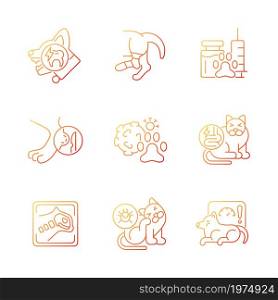 Pet physical injuries gradient linear vector icons set. Domestic animal disease. Body illness. Infectious parasites. Thin line contour symbols bundle. Isolated outline illustrations collection. Pet physical injuries gradient linear vector icons set