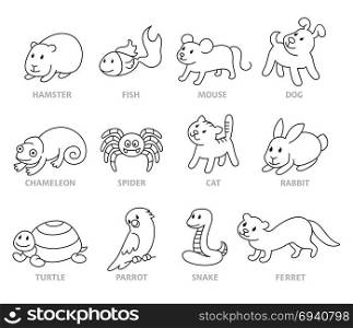 Pet shop, set types of pets, cartoon illustrations animals in line style. Logo, pictogram, infographic elements