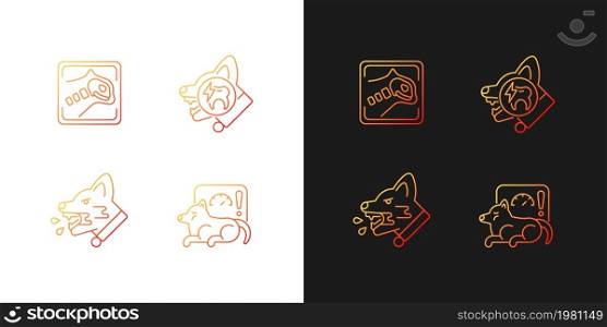 Pet treatment gradient icons set for dark and light mode. Domestic animals illness. Thin line contour symbols bundle. Isolated vector outline illustrations collection on black and white. Pet treatment gradient icons set for dark and light mode