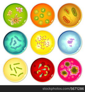 Petri dishes with bacteria and germs colonies set isolated vector illustration.