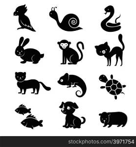 Pets and home animals vector icons. Dog and cat animal, home turtle and snake illustration. Pets and home animals vector icons