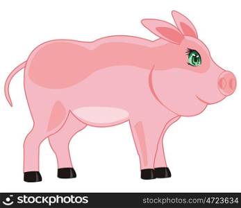 Pets animal pig. Home animal piglet is insulated on white background