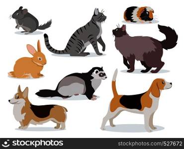 Pets icon set, cute gray chinchilla, fluffy ferret, smooth coated and domestic long-haired cats, corgi, beagle, dogs, rabbit, guinea pig isolated, vector illustration in flat style. Pets icon set, cute gray chinchilla, fluffy ferret, smooth coated and domestic long-haired cats, corgi, beagle, dogs, rabbit, guinea pig isolated, vector illustration