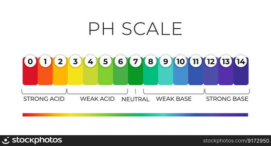 pH value scale chart for acid-alkaline solution. Acid-base balance ...
