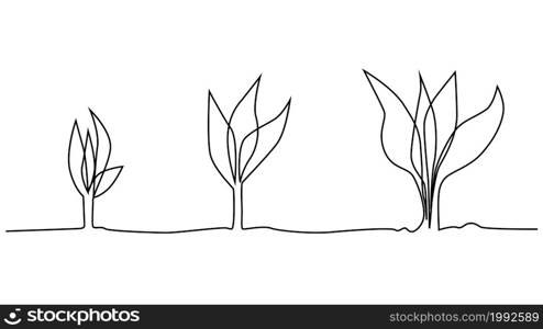 Phase of plant life continuous one line drawing minimalist illustration from seed, root and leaves. Phase of plant life continuous one line drawing minimalist illustration from seed and leaves