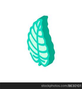 philodendron tropical leaf isometric icon vector. philodendron tropical leaf sign. isolated symbol illustration. philodendron tropical leaf isometric icon vector illustration