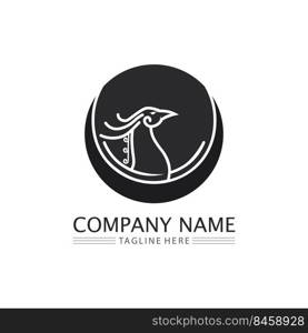 phoenix bird symbol and logo design vector illustration