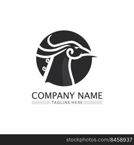 phoenix bird symbol and logo design vector illustration