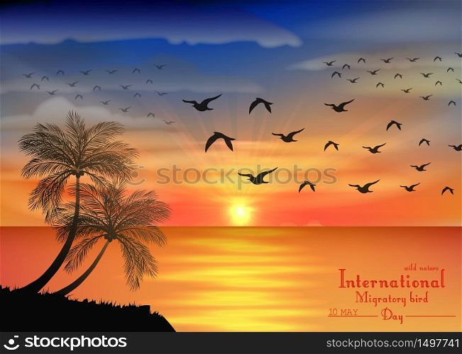 Photo of sunset on ocean for birds migratory day.Vector