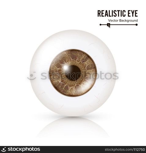 Photo Realistic Eyeball. Human Retina. Vector Illustration Of 3d Human Glossy Eye With Shadow And Reflection. Front View. Isolated On White Background. Photo Realistic Eyeball. Human Retina. Vector Illustration Of 3d Human Glossy Eye With Shadow And Reflection. Front View. Isolated On White Background.