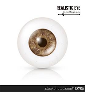 Photo Realistic Eyeball. Human Retina. Vector Illustration Of 3d Human Glossy Eye With Shadow And Reflection. Front View. Isolated On White Background. Photo Realistic Eyeball. Human Retina. Vector Illustration Of 3d Human Glossy Eye With Shadow And Reflection. Front View. Isolated On White Background.