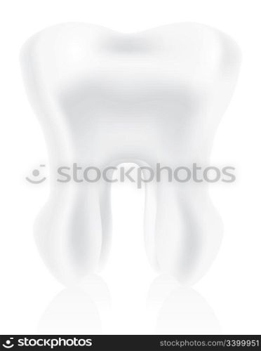 photo-realistic tooth illustration