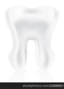 photo-realistic tooth illustration