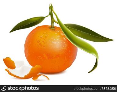 Photo-realistic vector. Fresh tangerine with green leaves and tangerine peel.