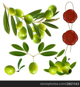 Photo-realistic vector illustration. Green olives with leaves.