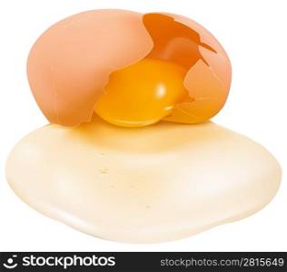 Photo-realistic vector illustration of a raw broken egg.