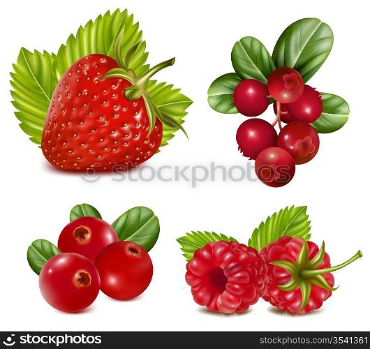 Photo-realistic vector illustration. Set of red berries with leaves.