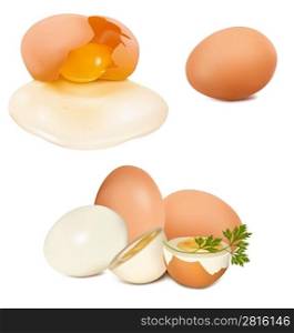 Photo-realistic vector of egg.