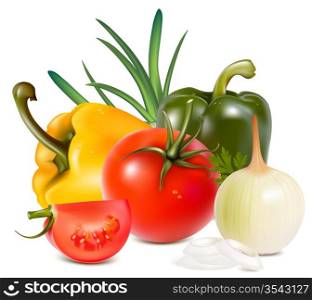 Photo-realistic vector. Vegetables.