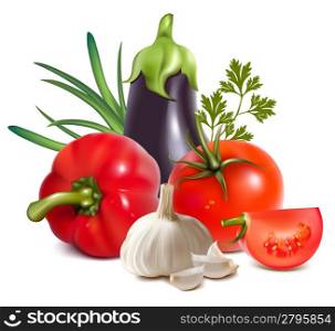 Photorealistic vector. Colorful fresh group of vegetables.