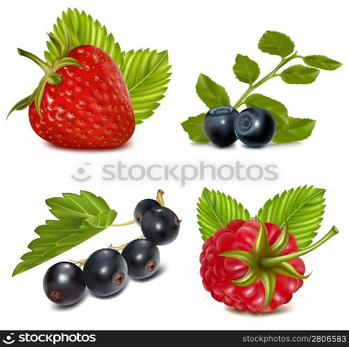 Photorealistic vector illustration. Set of berries with leaves.