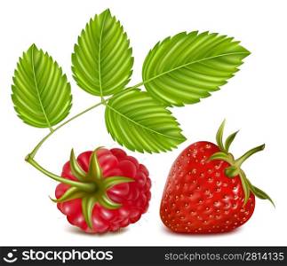Photorealistic vector illustration. Strawberry and raspberry with leaves.