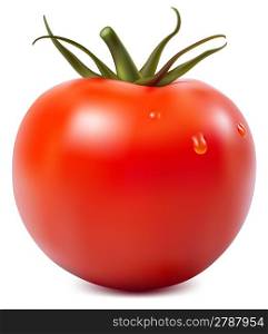 Photorealistic vector illustration. Tomato with water drops.