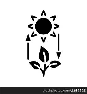 Photosynthesis black glyph icon. Turn light energy into chemical energy. Plants produce oxygen. Transformation process. Silhouette symbol on white space. Solid pictogram. Vector isolated illustration. Photosynthesis black glyph icon