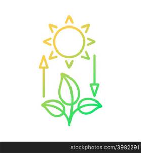 Photosynthesis gradient linear vector icon. Turn light energy into chemical energy. Plants produce oxygen. Thin line color symbol. Modern style pictogram. Vector isolated outline drawing. Photosynthesis gradient linear vector icon