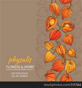 physalis vector background. physalis branches vector pattern on color background