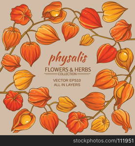 physalis vector frame. physalis branches vector frame on color background