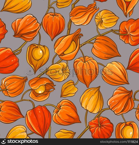 physalis vector pattern. physalis branches vector pattern on color background