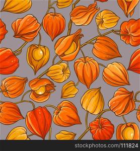 physalis vector pattern. physalis branches vector pattern on color background