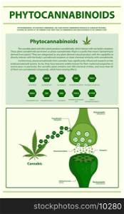 Phytocannabinoids vertical infographic illustration about cannabis as herbal alternative medicine and chemical therapy, healthcare and medical science vector.