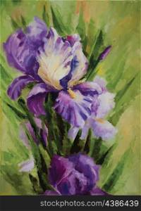 Picture oil paints on a canvas: Iris flowers. Vector