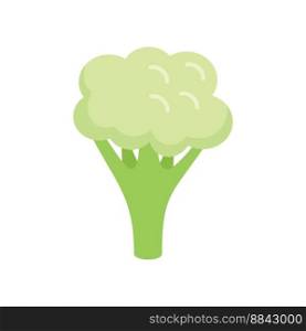 Piece brocoli icon flat vector. Cabbage food. Sweet vegan isolated. Piece brocoli icon flat vector. Cabbage food