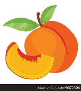 Piece of peach, illustration, vector on white background