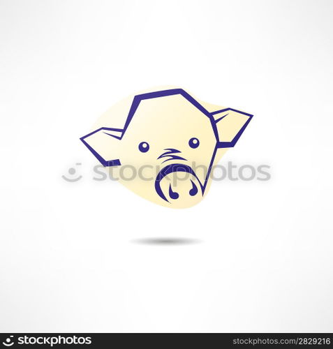Pig