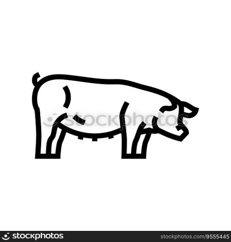 pig field animal line icon vector. pig field animal sign. isolated contour symbol black illustration. pig field animal line icon vector illustration