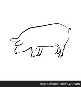 Pig icon. Outline vector illustration. Hand drawn style. Farm animals. Logo of pig full length isolated on white.. Logo or icon of pig full length.
