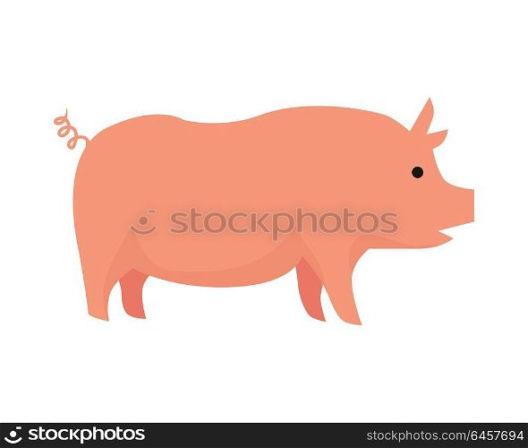 Pig illustration. Vector in flat style design. Domestic animal. Country inhabitants concept. Picture for farming, animal husbandry, meat production companies. Isolated on white background.. Pig Flat Design Vector Illustration on White.