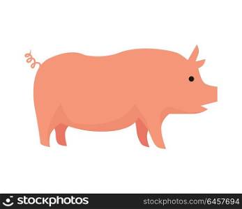 Pig illustration. Vector in flat style design. Domestic animal. Country inhabitants concept. Picture for farming, animal husbandry, meat production companies. Isolated on white background.. Pig Flat Design Vector Illustration on White.